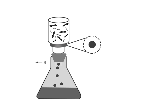 Schematic diagram of particle filtration showing how ceramic membrane materials separate solid contaminants from liquid during laboratory tests