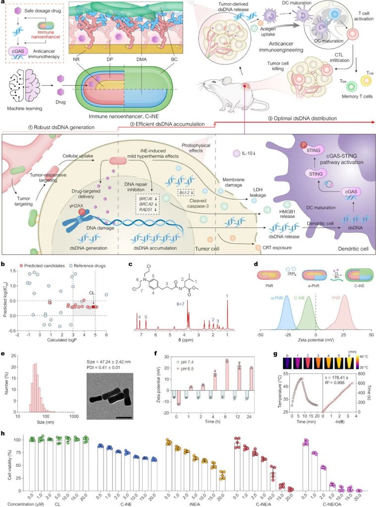 immune nanoenhancer